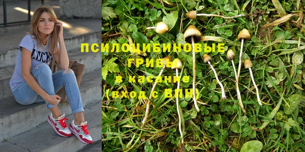 прущие крисы Михайловка