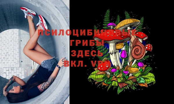 гашик Мегион